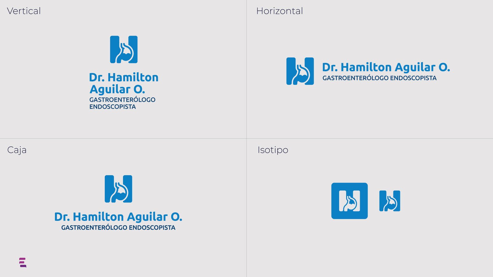 Dr. Hamilton Aguilar — pieza 11