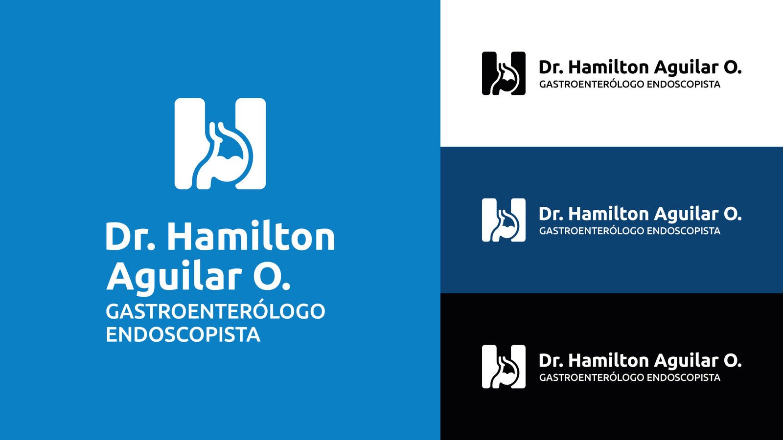 Dr. Hamilton Aguilar — pieza 12