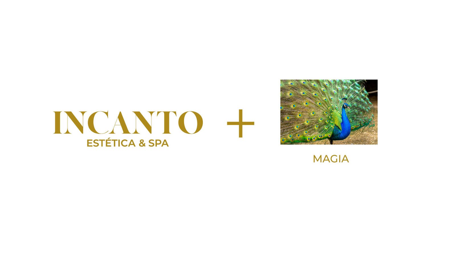 Incanto — pieza 6