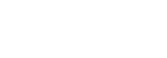 Vidbe